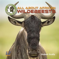 All_About_African_Wildebeests