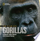 Face_to_face_with_gorillas