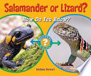 Salamander_or_lizard