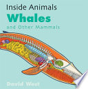 Whales_and_other_mammals