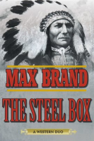The_steel_box