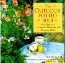 The_outdoor_potted_bulb