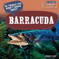 20_Things_You_Didn_t_Know_About_Barracuda
