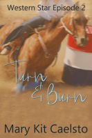 Turn_and_Burn__Western_Star_2_