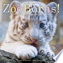 ZooBorns_