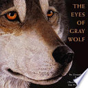 The_eyes_of_Gray_Wolf