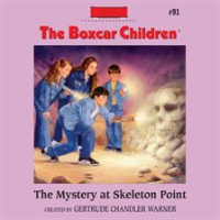 The_Mystery_at_Skeleton_Point