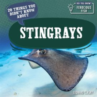 20_Things_You_Didn_t_Know_About_Stingrays