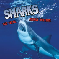 Sharks__Big_Teeth__Fierce_Hunters