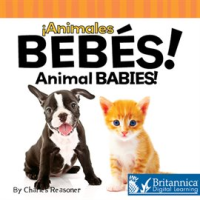 __Animales_beb__s___Animal_Babies__