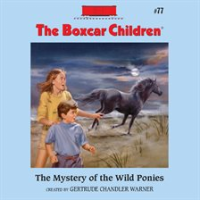 The_mystery_of_the_wild_ponies