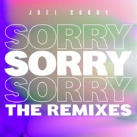 Sorry__The_Remixes_
