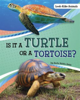Is_It_a_Turtle_or_a_Tortoise_